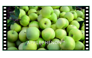 Link to AppleSlim Video